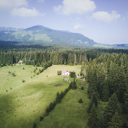 Homestay Djerkovic Žabljak Dış mekan fotoğraf