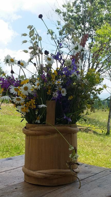 Homestay Djerkovic Žabljak Oda fotoğraf