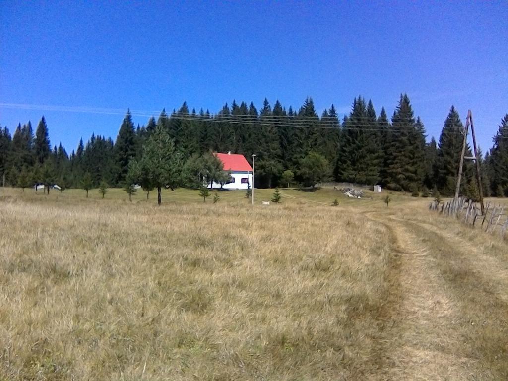 Homestay Djerkovic Žabljak Dış mekan fotoğraf