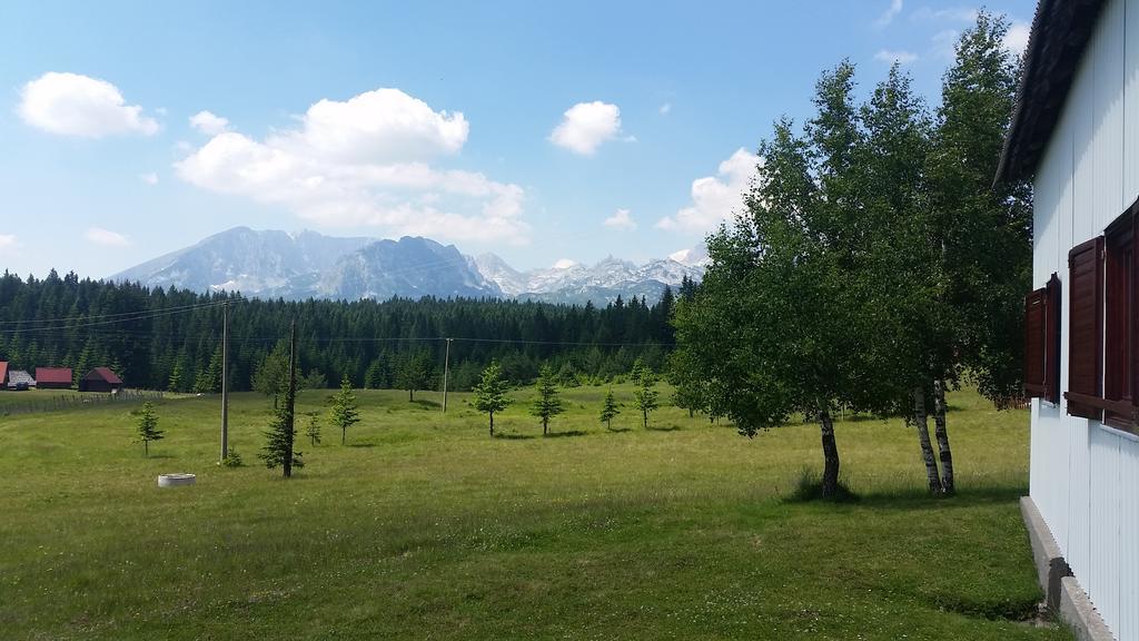 Homestay Djerkovic Žabljak Dış mekan fotoğraf