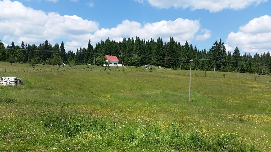 Homestay Djerkovic Žabljak Dış mekan fotoğraf